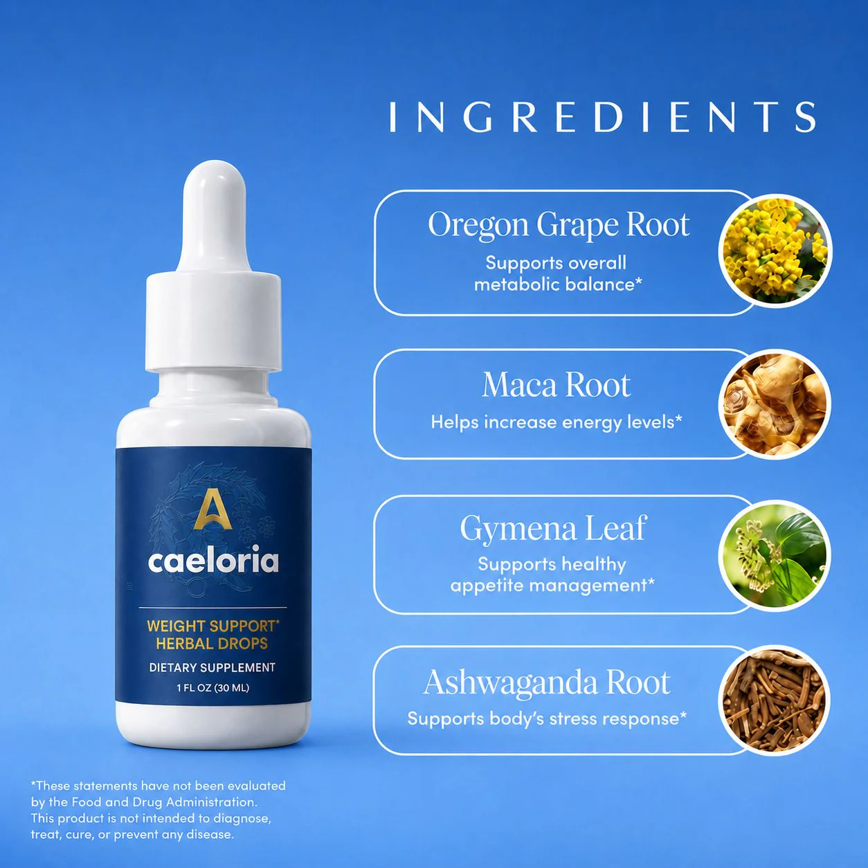 Metabolic Support Liquid Herbal Drops - Image 2