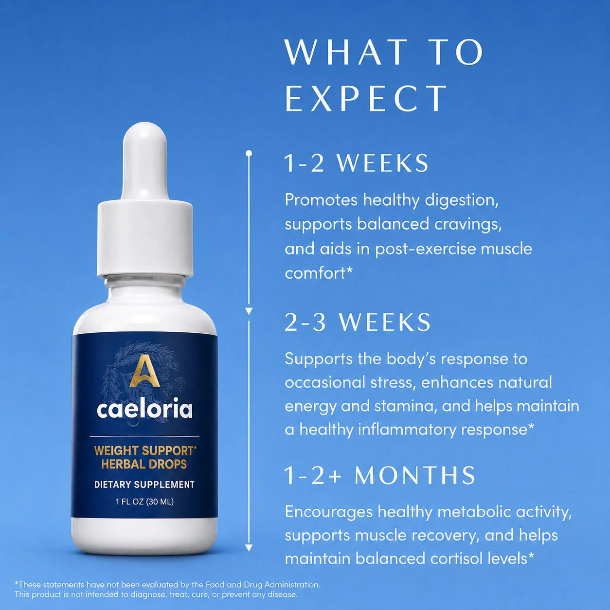 Metabolic Support Liquid Herbal Drops - Image 4